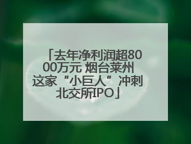 去年净利润超8000万元 烟台莱州这家“小巨人”冲刺北交所IPO