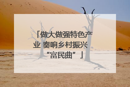 做大做强特色产业 奏响乡村振兴“富民曲”