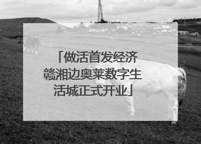 做活首发经济 赣湘边奥莱数字生活城正式开业