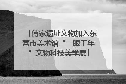 傅家遗址文物加入东营市美术馆“一眼千年”文物科技美学展