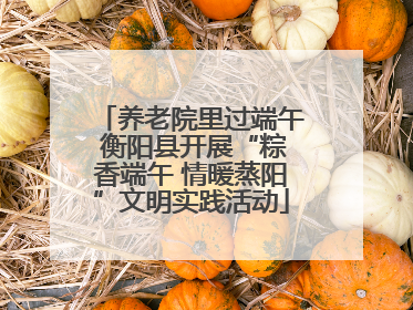 养老院里过端午 衡阳县开展“粽香端午 情暖蒸阳”文明实践活动