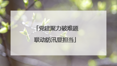 党建聚力破难题 联动防汛显担当