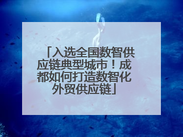 入选全国数智供应链典型城市！成都如何打造数智化外贸供应链
