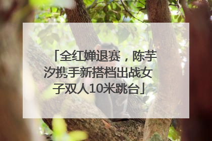 全红婵退赛，陈芋汐携手新搭档出战女子双人10米跳台
