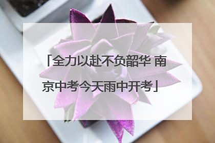 全力以赴不负韶华 南京中考今天雨中开考