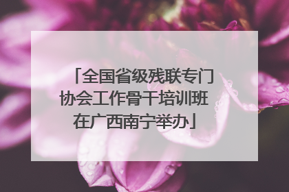 全国省级残联专门协会工作骨干培训班在广西南宁举办