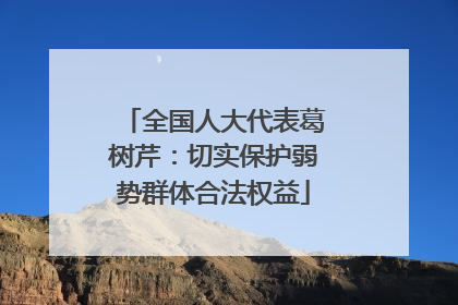 全国人大代表葛树芹：切实保护弱势群体合法权益