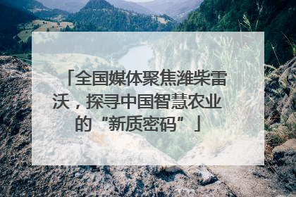全国媒体聚焦潍柴雷沃，探寻中国智慧农业的“新质密码”