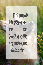 全国政协委员王昆——司法为民做得越细越有温度