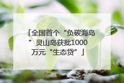 全国首个“负碳海岛”灵山岛获批1000万元“生态贷”