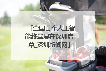全国首个人工智能终端展在深圳启幕_深圳新闻网