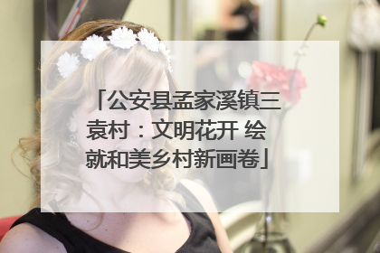 公安县孟家溪镇三袁村：文明花开 绘就和美乡村新画卷