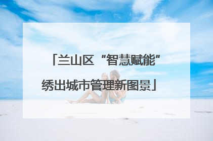 兰山区“智慧赋能”绣出城市管理新图景