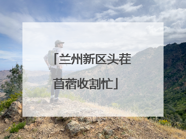 兰州新区头茬苜蓿收割忙