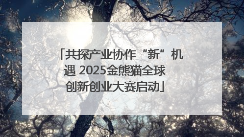 共探产业协作“新”机遇 2025金熊猫全球创新创业大赛启动
