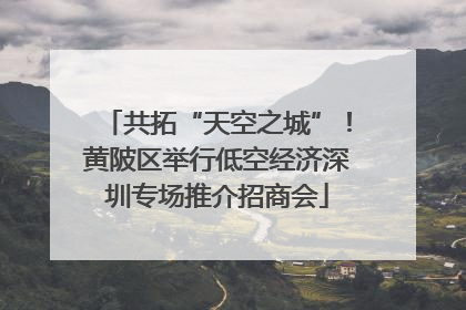 共拓“天空之城”！黄陂区举行低空经济深圳专场推介招商会