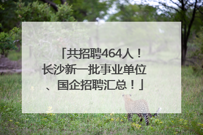 共招聘464人!长沙新一批事业单位、国企招聘汇总!