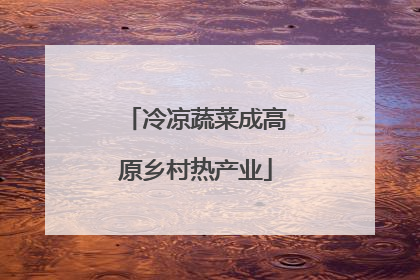 冷凉蔬菜成高原乡村热产业