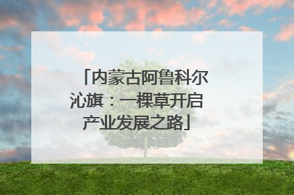 内蒙古阿鲁科尔沁旗：一棵草开启产业发展之路