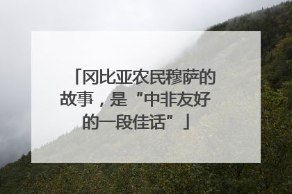 冈比亚农民穆萨的故事，是“中非友好的一段佳话”
