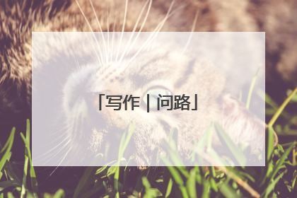 写作｜问路