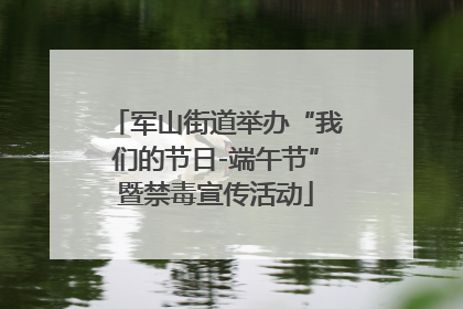 军山街道举办“我们的节日-端午节”暨禁毒宣传活动