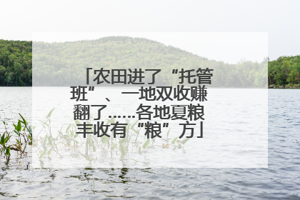 农田进了“托管班”、一地双收赚翻了……各地夏粮丰收有“粮”方