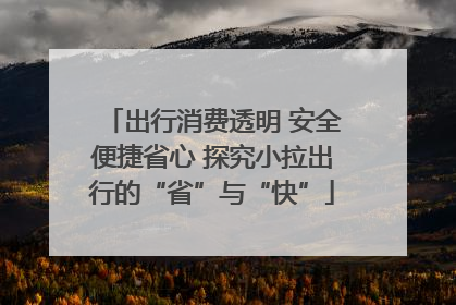 出行消费透明 安全便捷省心 探究小拉出行的“省”与“快”