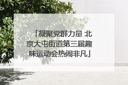 凝聚党群力量 北京大屯街道第三届趣味运动会热闹非凡