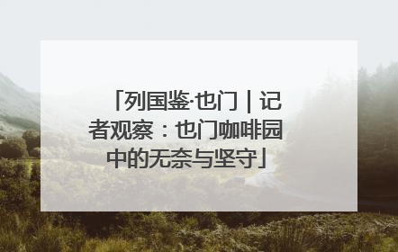 列国鉴·也门｜记者观察：也门咖啡园中的无奈与坚守