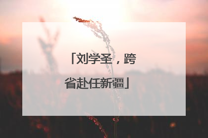 刘学圣，跨省赴任新疆