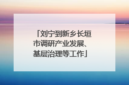 刘宁到新乡长垣市调研产业发展、基层治理等工作