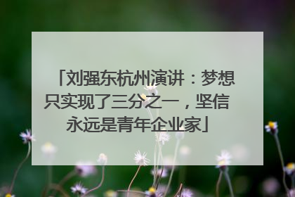 刘强东杭州演讲：梦想只实现了三分之一，坚信永远是青年企业家