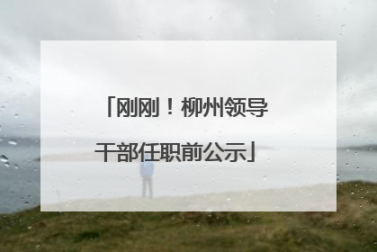 刚刚！柳州领导干部任职前公示