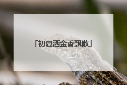 初夏洒金香飘散