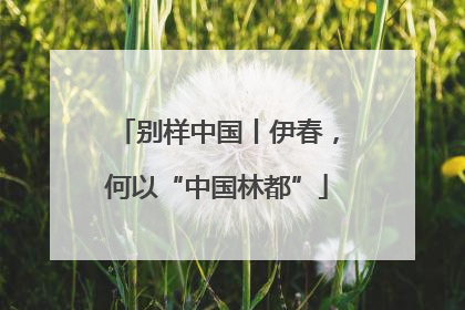 别样中国丨伊春，何以“中国林都”