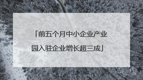 前五个月中小企业产业园入驻企业增长超三成