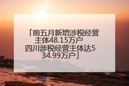 前五月新增涉税经营主体48.15万户 四川涉税经营主体达534.99万户