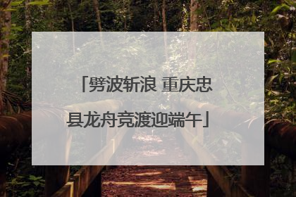 劈波斩浪 重庆忠县龙舟竞渡迎端午