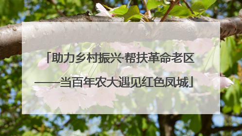 助力乡村振兴·帮扶革命老区——当百年农大遇见红色凤城