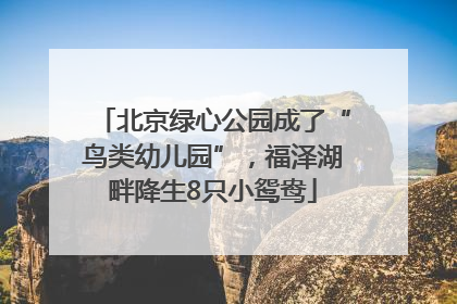 北京绿心公园成了“鸟类幼儿园”，福泽湖畔降生8只小鸳鸯