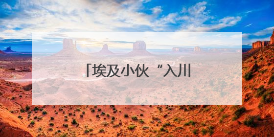 埃及小伙“入川记”：中国不只是“世界工厂”