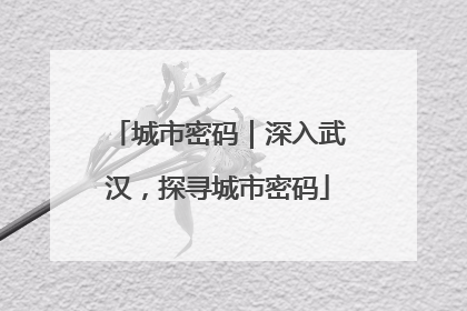 城市密码｜深入武汉，探寻城市密码