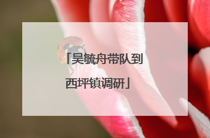吴毓舟带队到西坪镇调研