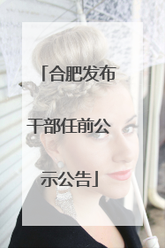 合肥发布干部任前公示公告