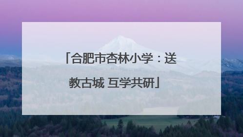合肥市杏林小学：送教古城 互学共研