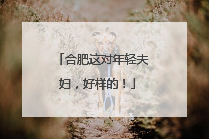 合肥这对年轻夫妇，好样的！