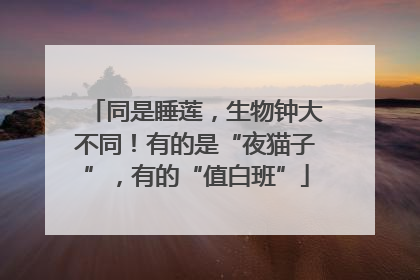 同是睡莲，生物钟大不同！有的是“夜猫子”，有的“值白班”