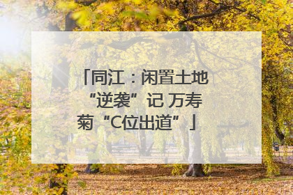 同江：闲置土地“逆袭”记 万寿菊“C位出道”