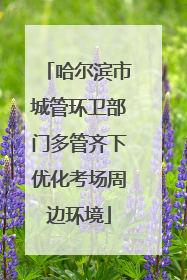 哈尔滨市城管环卫部门多管齐下优化考场周边环境